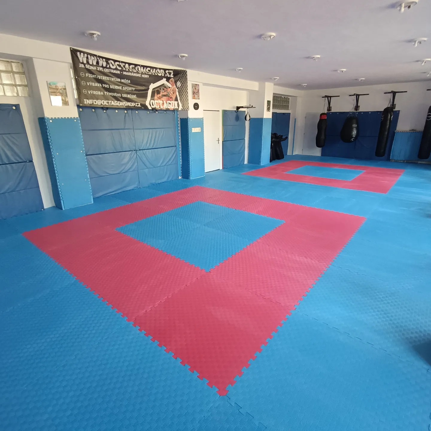 Profesionální oktagon